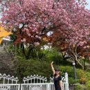 광주 무등산 리프트 모노레일 지산유원지 주차장 가격 운영시간