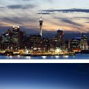 스카이타워 이미지