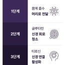 헬스중독 | [브레인헬스랩] 브레인 샤워 젤리 후기:-) 스마트폰 중독 = 도파민 중독!! 멍해진 뇌를 깨끗하게 해주는...