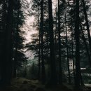 구글 100배 활용하기 | "양자 엣지 게이트웨이 개발 키트 사용 후기: 혁신적 성능과 설치 팁 공개!"