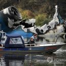 Team42 연합뉴스