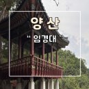 임경대 | 양산 명소 임경대 산책 추천 주차장 후기