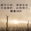P-6112 네이버블로그