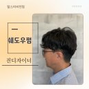 쉐도우비전 이미지