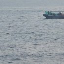 돌고래쇼 이미지