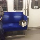 신2 | 신들린 연애2 장호암, 병점 연도령 신점 후기 (내돈내산)