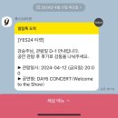 벚꽃이 가득한 4월 1-2주차의 기록 (4/1~4/13)