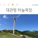 하늘목장 이미지