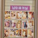냥이싸롱 이미지