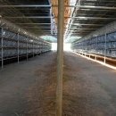 우리집농장 이미지