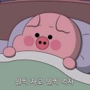 위너위드 | [쏜직한후기] 역류성식도염 환자의 발악 : 역류성식도염베개 : 씨위너위드유베개