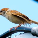 옛날옛적에 이미지