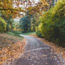 선부재활의학과의원 이미지