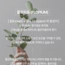 향기 잘나는 디퓨져 &lt;플로피움&gt; 진심으로 추천해요. ♡솔직후기♡