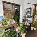 동아대학교 이미지