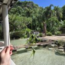 바다 FISH | 🌴11월 괌 3일차 Fish Eye Marine Park 스노클링 체험 솔직 후기, 바다는 최고 점심은… 꼭 참고!