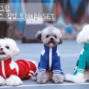 멍발란스 이미지