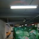 돈 되는 헌옷 + 친절까지! 😎 시흥 아파트 9월 15일 현장 이야기 집 앞에서 바로 수거! 이미지