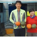 선미2농장 이미지