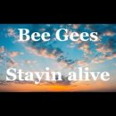Bee Gees / Saturday Night Fever(1976년) 이미지