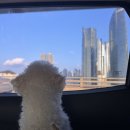 연화공원 영화의전당 | 부산 해운대 영화의전당 산타마을 크리스마스빌리지 산타마을 후기뿅