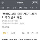 진짜 판다가지고 끝까지 돈벌이 잘한다 이미지