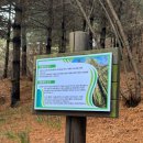 (주)이-글벳 | [예산 여행] 벚꽃과 수선화가 어우러진 봄날의 산책! 예산 추사고택 및 신규 기념관 방문기