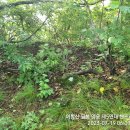 리치상사 이미지