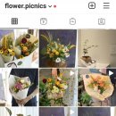 피크닉스 이미지