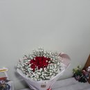 김해꽃배달