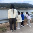 대율저수지 오토캠핑장 이미지