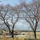 구례의길(섬진강길) 이미지