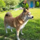 피서농장 이미지