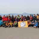 청솔카포스 이미지