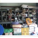 파평농원 이미지