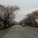목포대학교골프연습장 네이버블로그