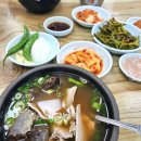 합천집 | 부산 돼지국밥 추천맛집 2025미쉐린가이드 선정 용호동 합천국밥집 내돈내산후기