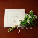 그루밍제주 | 5. 제주 with 라떼 : 그루밍, 제주 _ 서귀포 애견호텔 / 유치원 / 미용 🐾