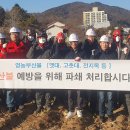 강원부산물