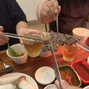 간절곶 팜하우스 펜션 | 울산 간절곶 가성비 숙소 펜션 추천 / 수국이 이쁜 울산 팜하우스 펜션