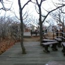 진태상회 이미지