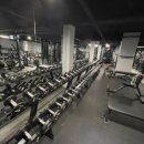 마이트피트니스 이미지