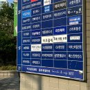 리얼문어타코홀릭