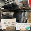 몽다르크