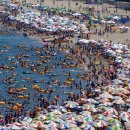 영상 뉴스~~ 이미지