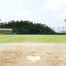 남해스포츠파크 야구장 이미지