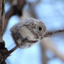 새들농장 이미지