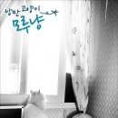 낭만고양이 이미지