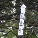 나성 필서봉 이미지