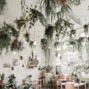 그랑디르 이미지